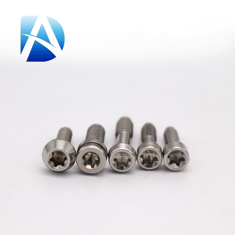Multi Specification Internal Torx Stainless Steel Screws