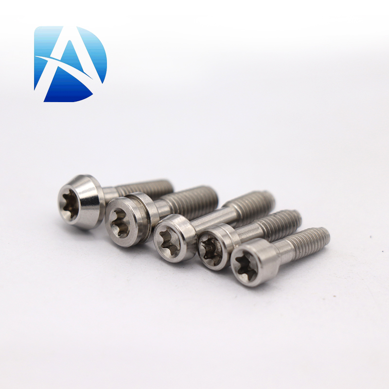 Multi Specification Internal Torx Stainless Steel Screws